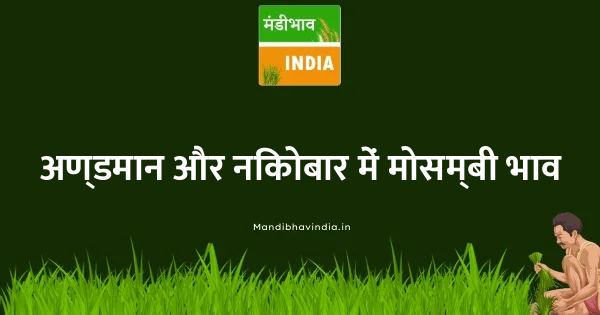 Mousambi(Sweet Lime) भाव